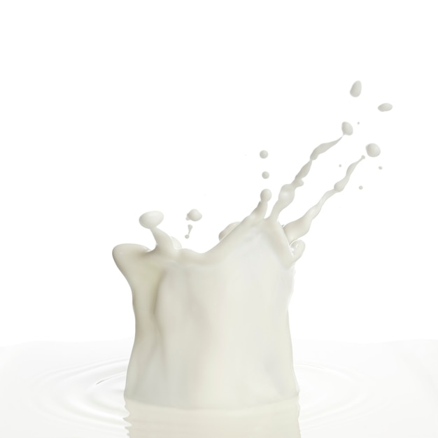 Pouring of milk splash isolated white background