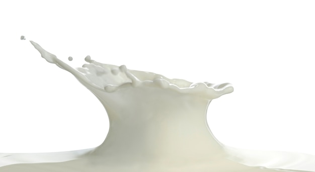 Pouring of milk splash isolated white background