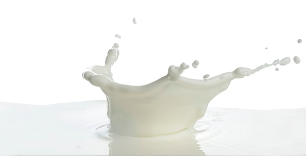 Pouring of milk splash isolated white background