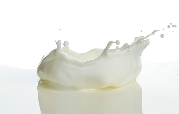 Pouring of milk splash isolated white background