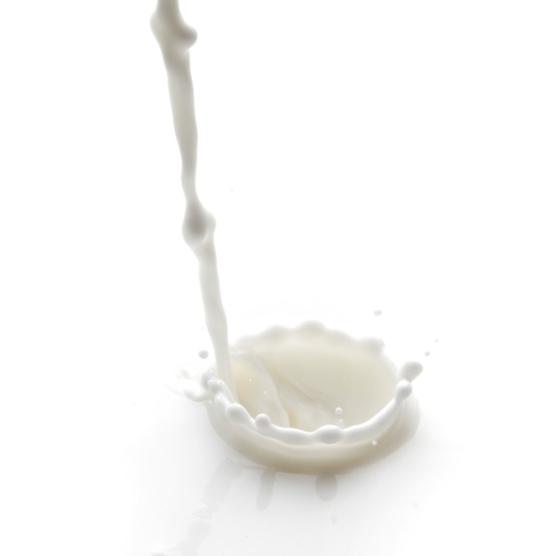 Pouring milk splash isolated on white surface macro