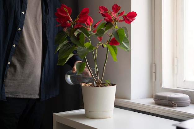 A pouring water from bottle into the home flower pot