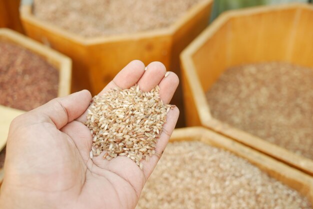 Pov shot of brown rice on hand