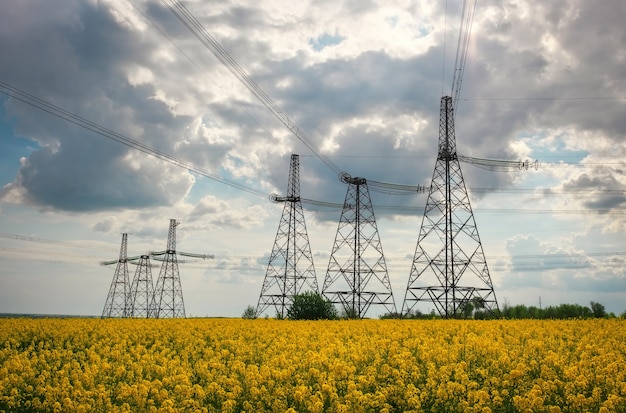 Power line among the fields of rapeseed