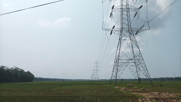 A power line is shown in a field with a field in the background.