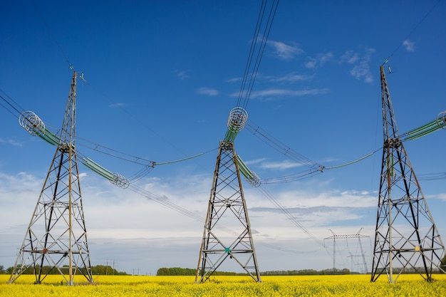 Power lines and high-voltage lines against the backdrop of blooming oilseed rape on a summer day