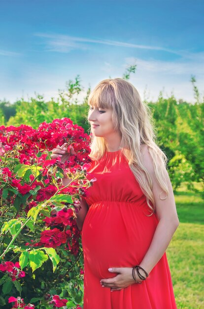 Pregnant girl in the garden of blooming roses Selective focus nature