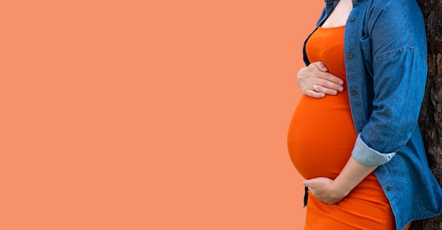 Pregnant woman in orange dress and jeans shirt hold her big tummy with hands on orange background Template and copy space banner for pregnancy maternity motherhood and prenatal care