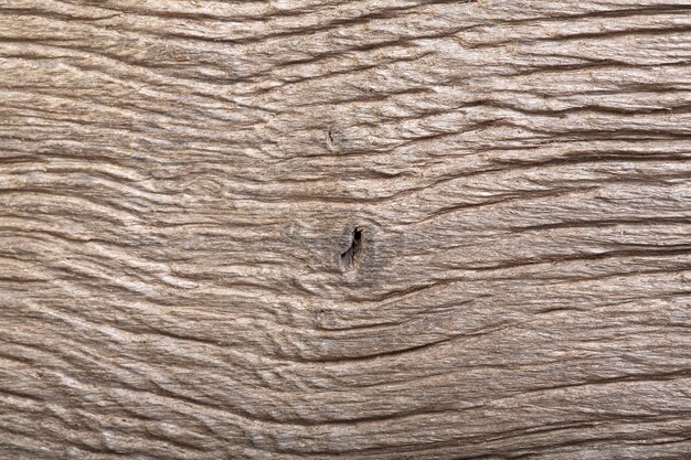 Photo prehistoric wood bog oak with fantastic scratched texture. macro photo.