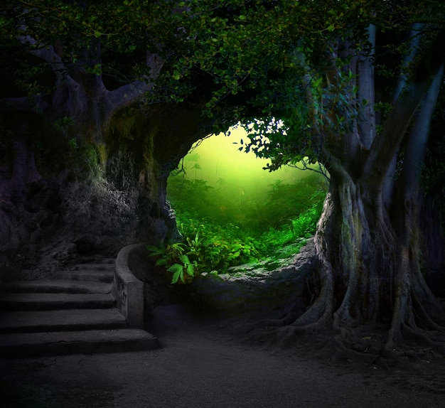 Premade background stock with stairs and mistery forest