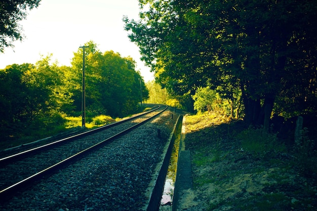 premium view photography of train rail