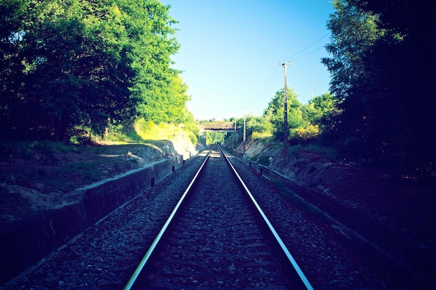 premium view photography of train rail