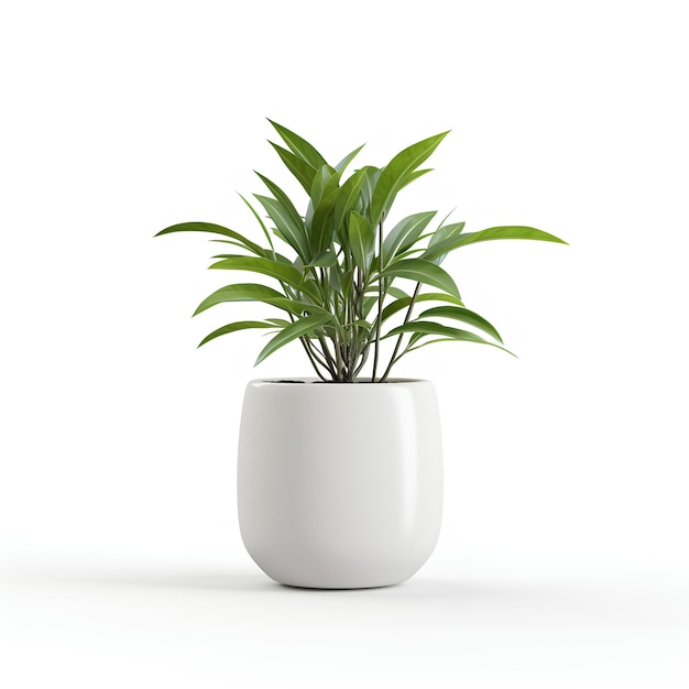 Premium White Plant Pot with Plant