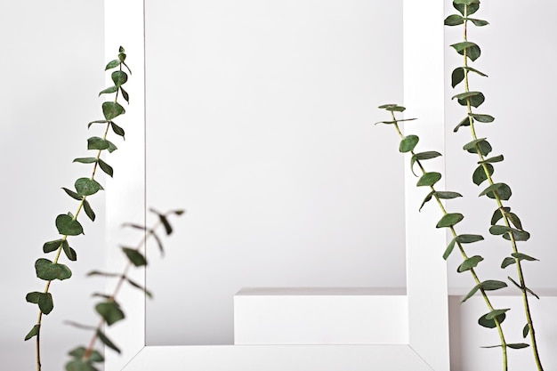 Premium white podium on white background with eucalyptus branches Mock up for presentation of cosmetic products