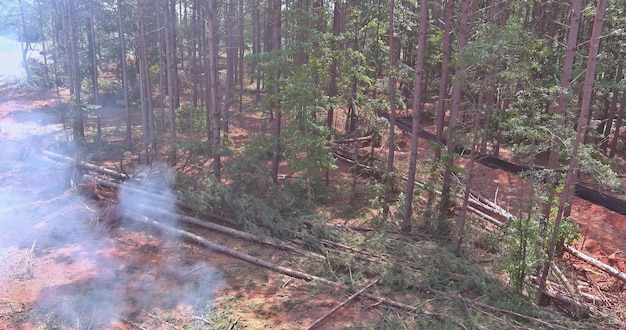 In preparation for the construction of new houses the tractor is uprooting trees and deforestation