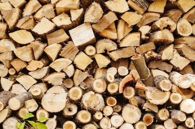 Preparation of firewood for the winter