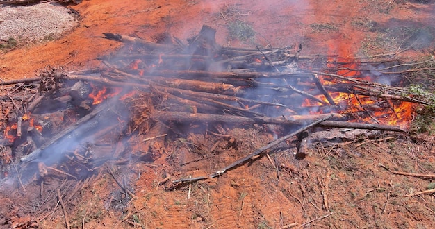 Preparation the land for the construction of houses and burning of uprooted forests on construction