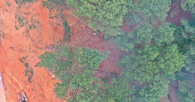 Preparation of the land for construction with a used dozer during deforestation forest cleaning