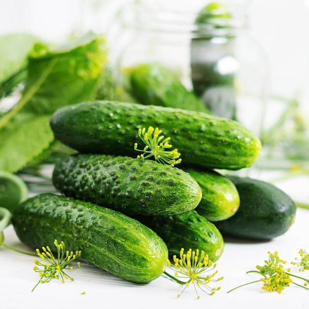 Preparation pickled marinated cucumbers, herbs and salt.