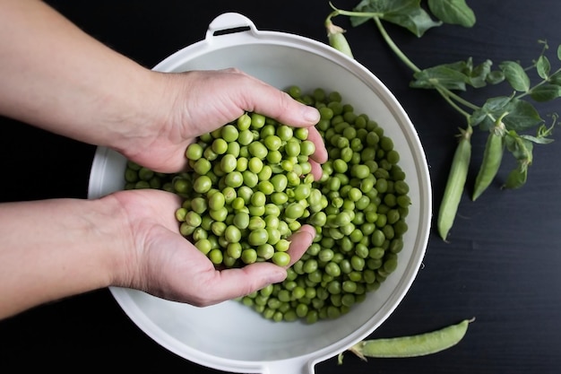 Preparation and processing of harvested homemade organic green peas in pods and shelled