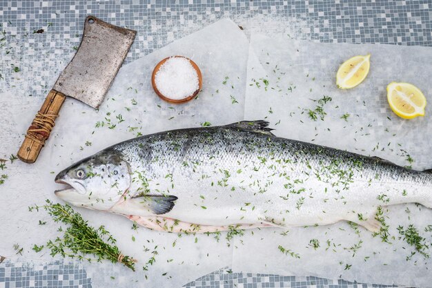 Preparing fresh salmon with lemon and herbs for grill