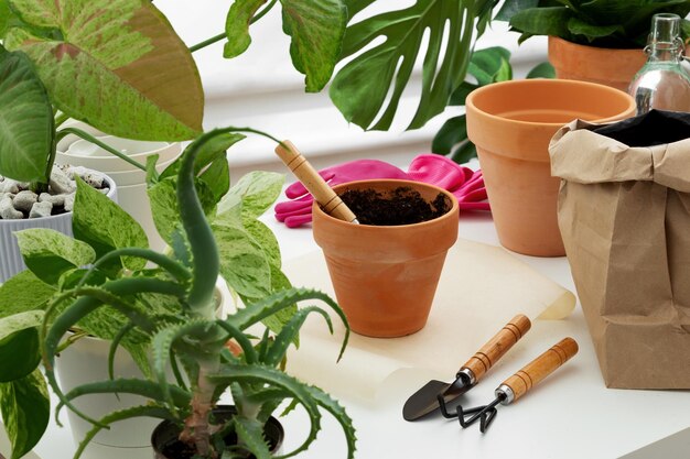 Preparing for plant transplant clay pot on a white table surrounded by other plants Concept of home garden Taking care of home plants