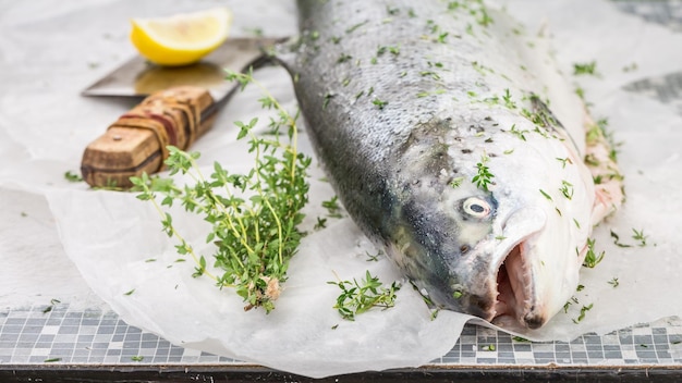 Preparing whole salmon with herbs and lemon for grill