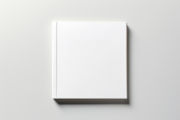 Presentation folder white gray simplicity