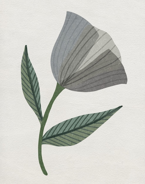 Photo presenting an elegant and minimalistic botanical illustration featuring a delicate flower