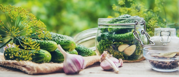 Preservation of fresh house cucumbers.