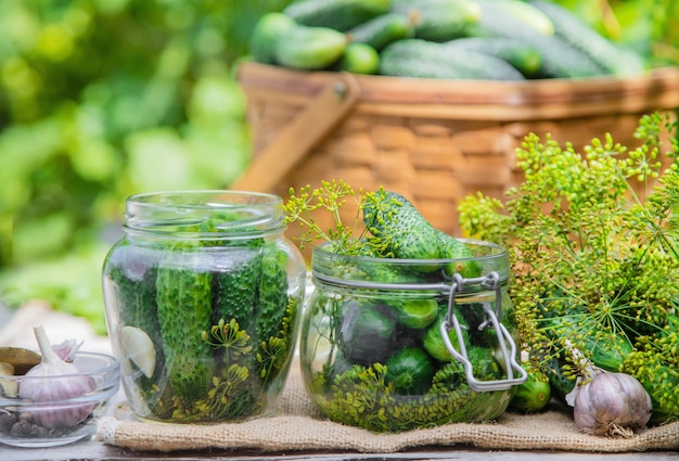 Preservation of fresh house cucumbers.