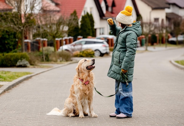 Preteen child girl walking with golden retriever dog on leash at autumn street wearing hat and warm