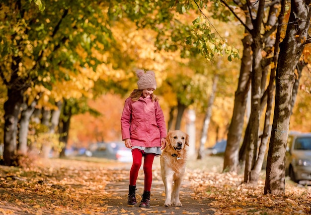 Preteen kid and golden retriever dog