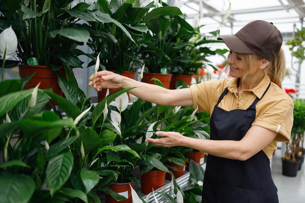 Pretty female florist caring for green plants in a greenhouse