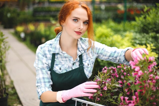 Pretty florist in apron and pink gloves dreamily looking in camera while working with flowers in greenhouse