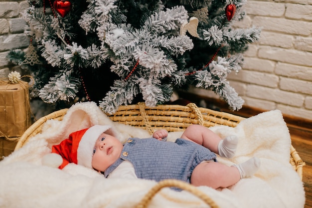 Pretty little child in blue pajamas and a red New Year's hat lies in a woven basket near a Christmas tree