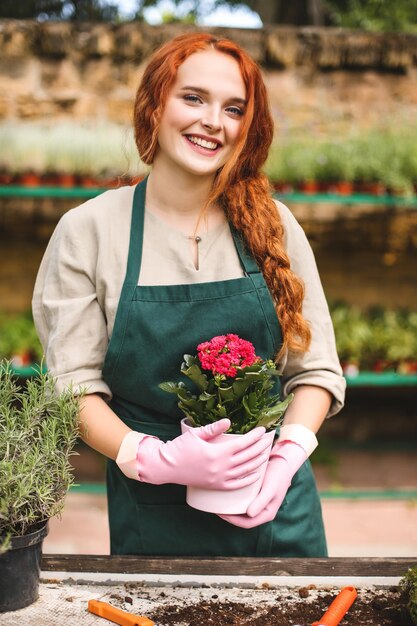 Pretty smiling lady in apron and pink gloves holding in hands beautiful flower in pot and happily looking in camera in greenhouse