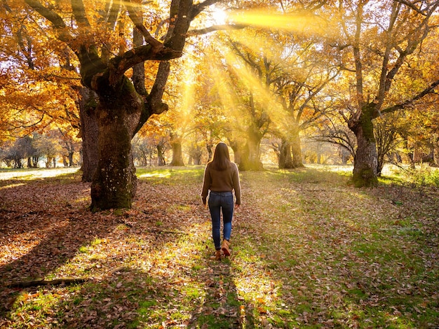 Pretty young woman in an oak forest at sunset