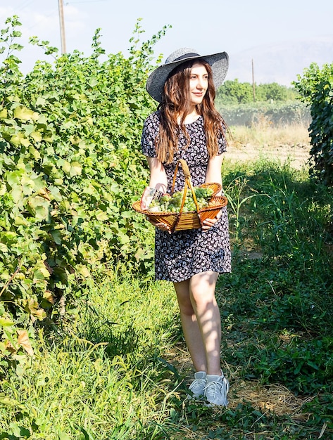 pretty young woman in vineyard woman in the nature