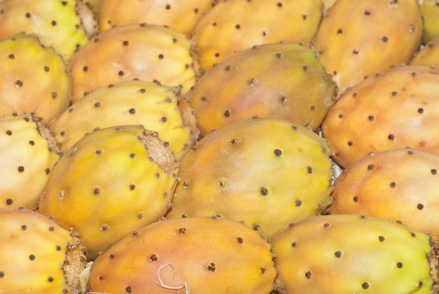 Prickly pears