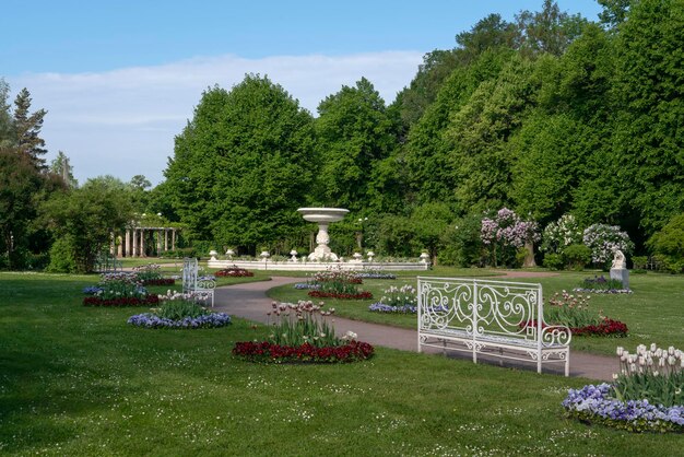 Photo private garden in catherine park of tsarskoye selo on a summer day pushkin saint petersburg russia