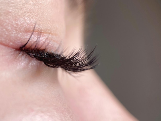 The procedure of classical eyelash extension. Beautiful female eyes close-up with long eyelashes