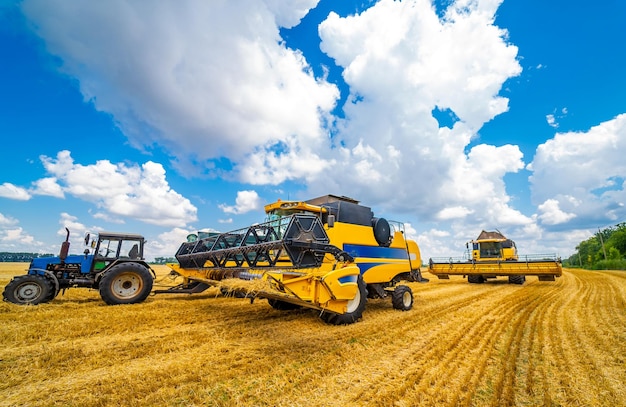 Process of gathering ripe crop from the fields Side view on yellow combine Harvest time