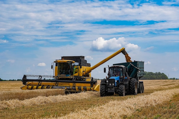 Process of gathering ripe crop from the fields Special technic in field Modern machinery in gold wheat Cereal or wheat gathering Heavy machinery