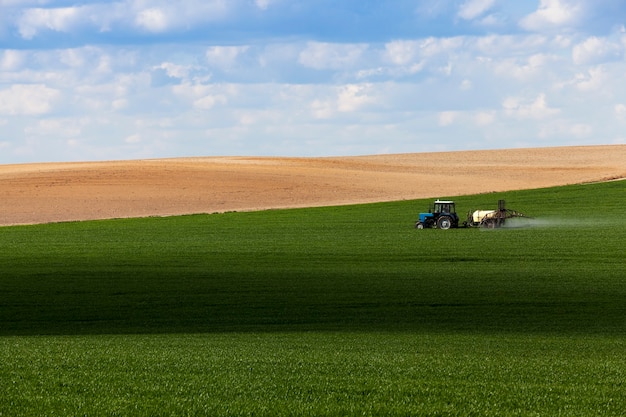 Processing of cereal - tractor, photographed in the agricultural field during handling pesticides. sky with clouds