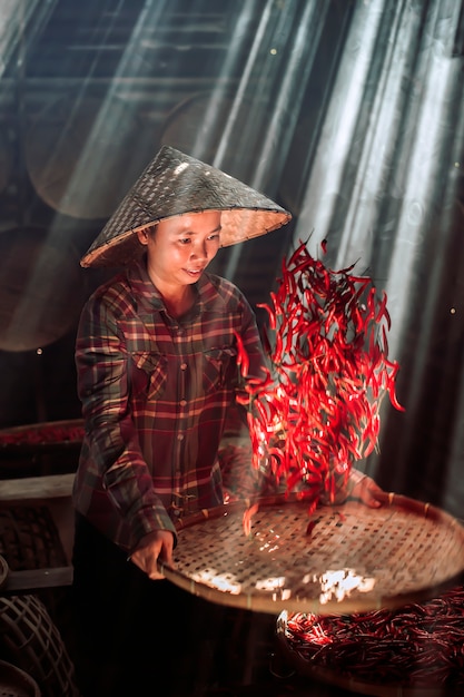 Processing and drying red chili under sun near sakonnakhon Thailand.