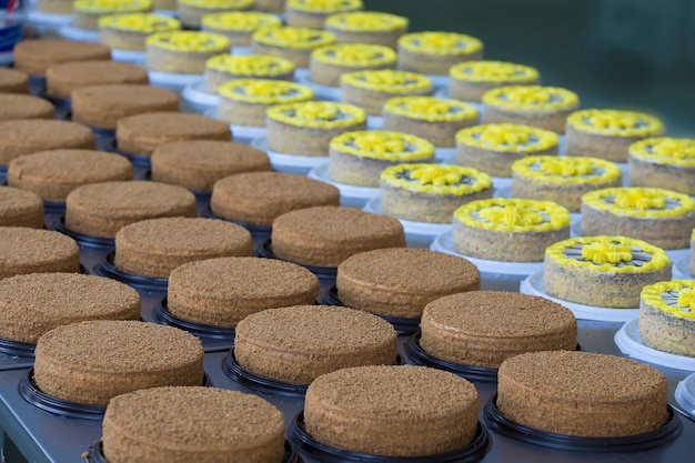 Production line of cakes. Many cakes in the culinary shop.Cake and baking line