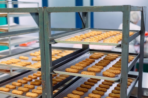 Production of shortbread cookies in a confectionery factory.