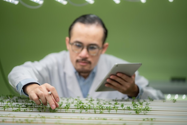 Professional agriculture scientist working to research on a organic vegetable plant in laboratory greenhouse development of smart technology for hydroponic growth farming indoor vertical farm