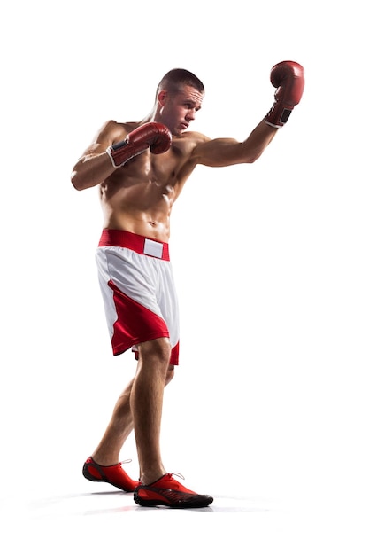 Professional boxer in white isolated background